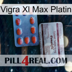 Vigra Xl Max Platinum 36